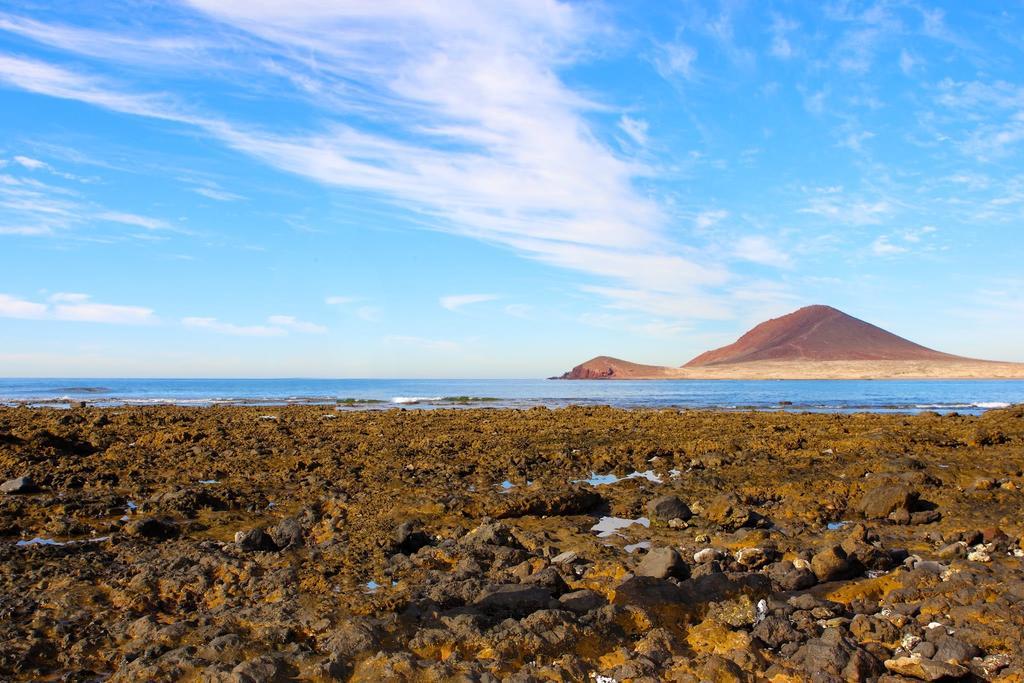 Marody Tenerife House El Medano  Luaran gambar