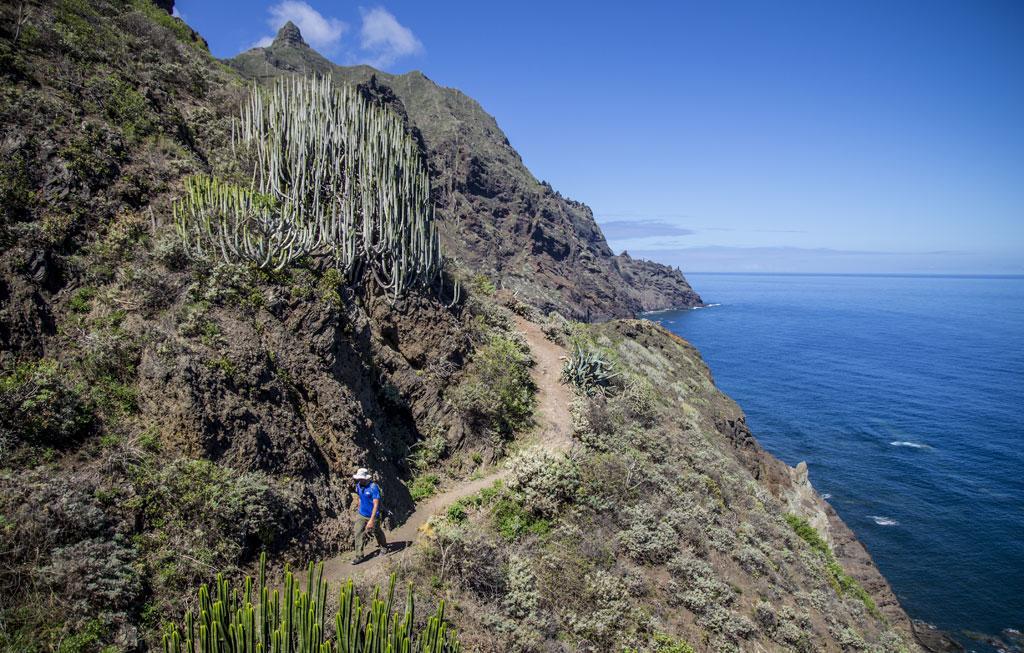 Marody Tenerife House El Medano  Luaran gambar