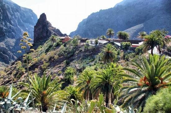 Marody Tenerife House El Medano  Luaran gambar